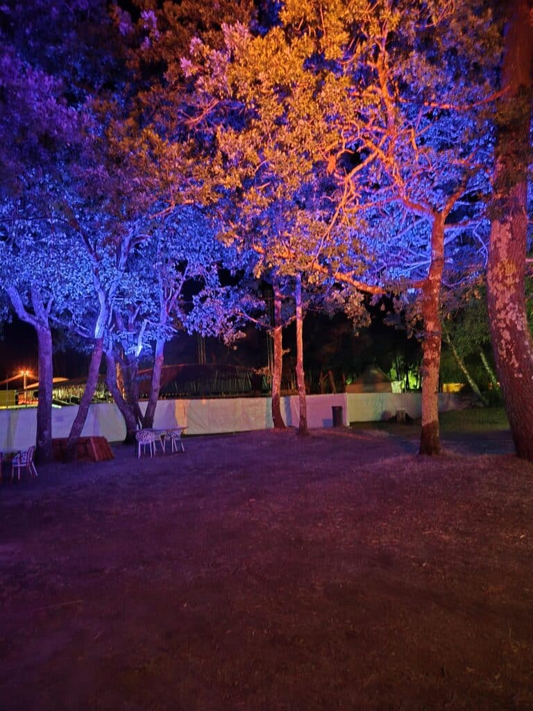 Éclairage architectural bleu et orange sur arbres d'un espace de réception nocturne - Elec Expo